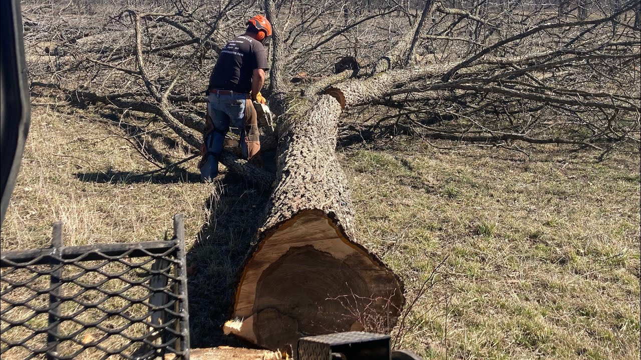 Plantation Walnut