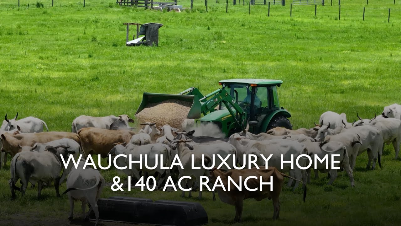 140 Acre Florida Luxury Ranch for Sale | Equestrian Estate with Home, Stables & Arena | Wauchula, FL