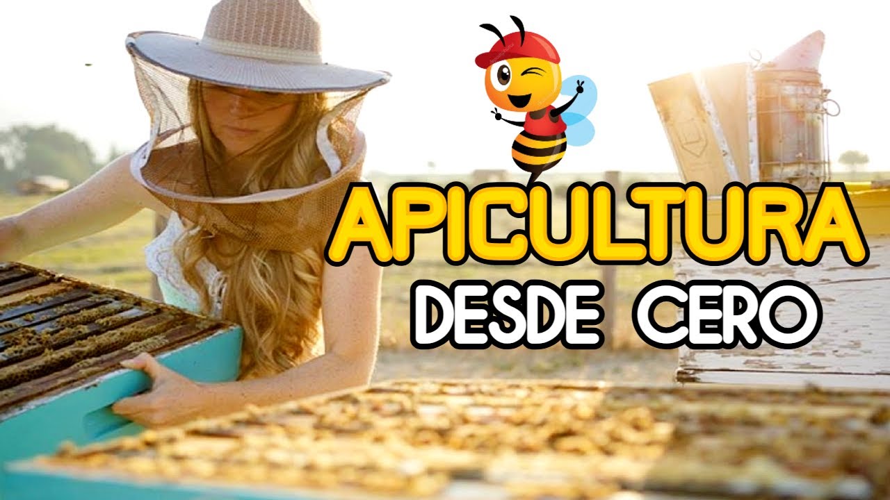 Clase de Apicultura para Todos | TODO LO ESENCIAL EN UN VIDEO