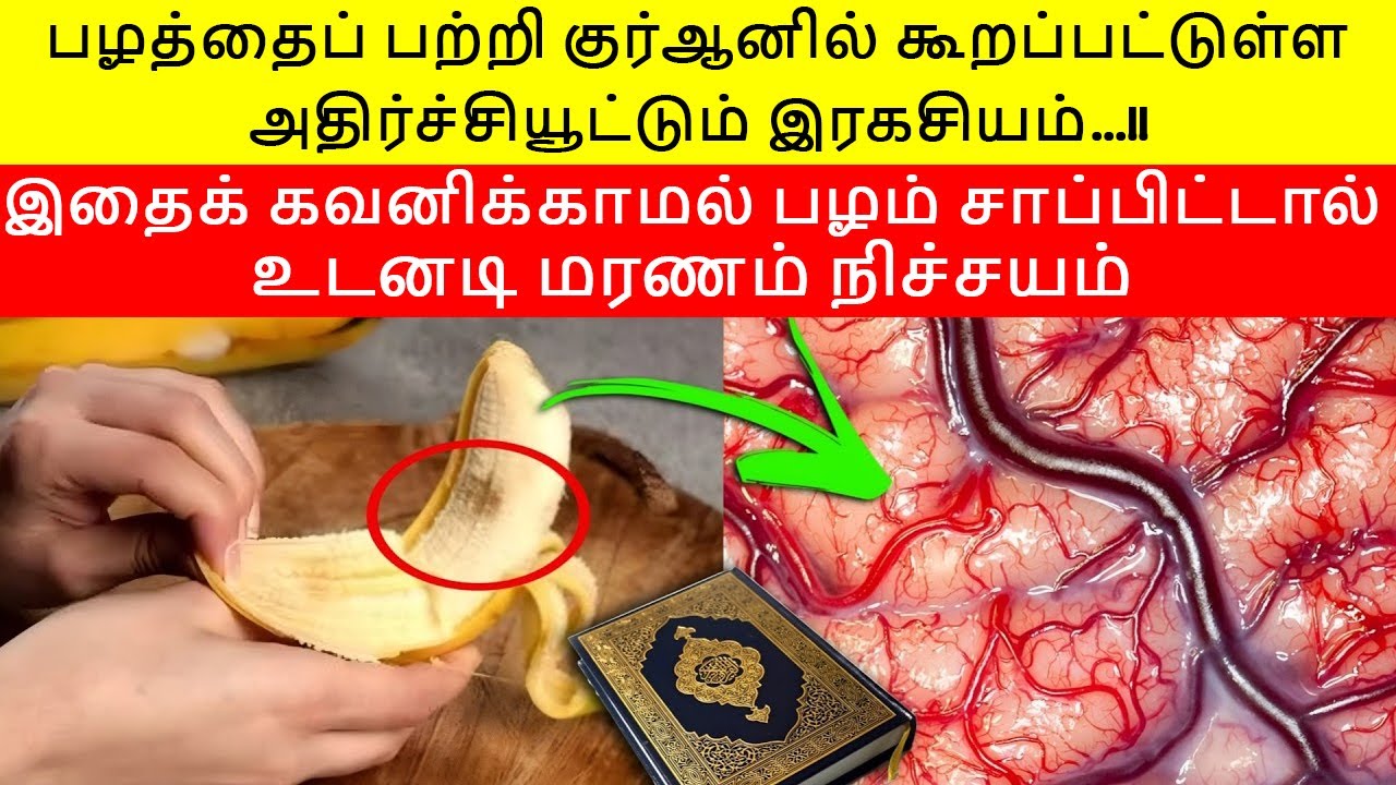 பழத்தைப் பற்றி குர்ஆனில் கூறப்பட்டுள்ள அதிர்ச்சியூட்டும் ரகசியம் |Quran secret | banana side effects