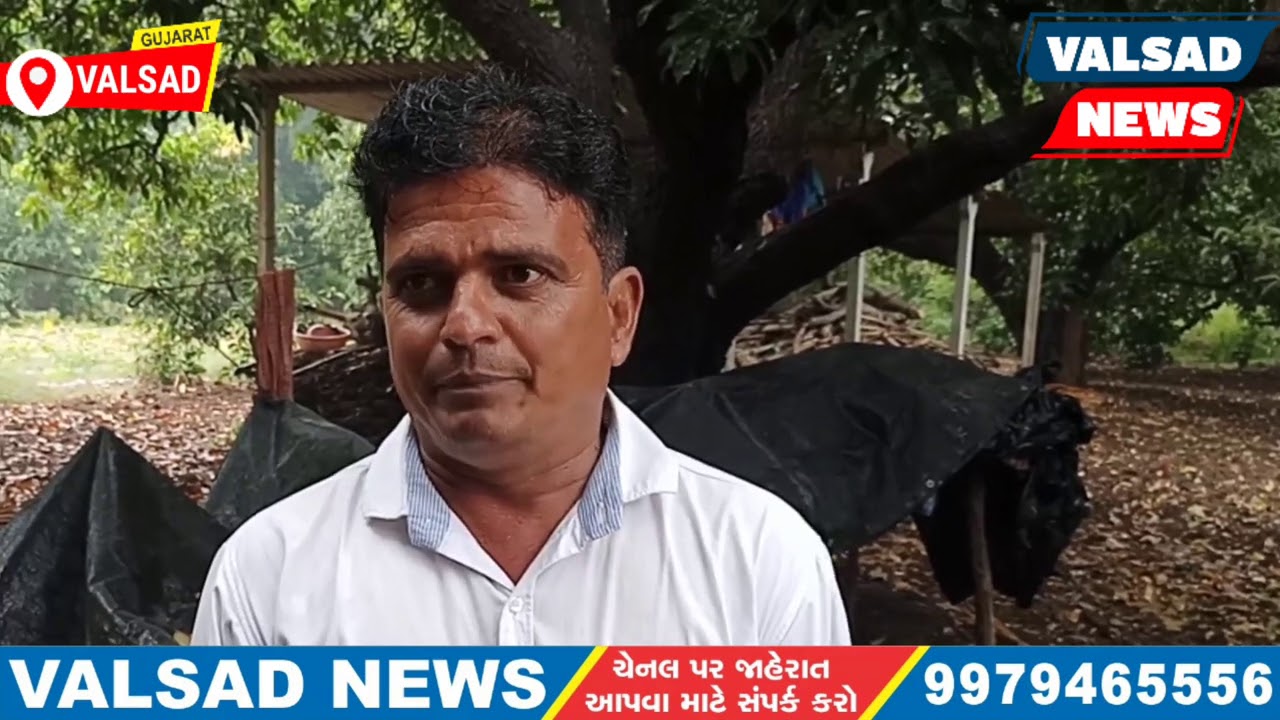 VALSAD NEWS : ખેડૂતો ના માથે મુશિબત નો વરસાદ !