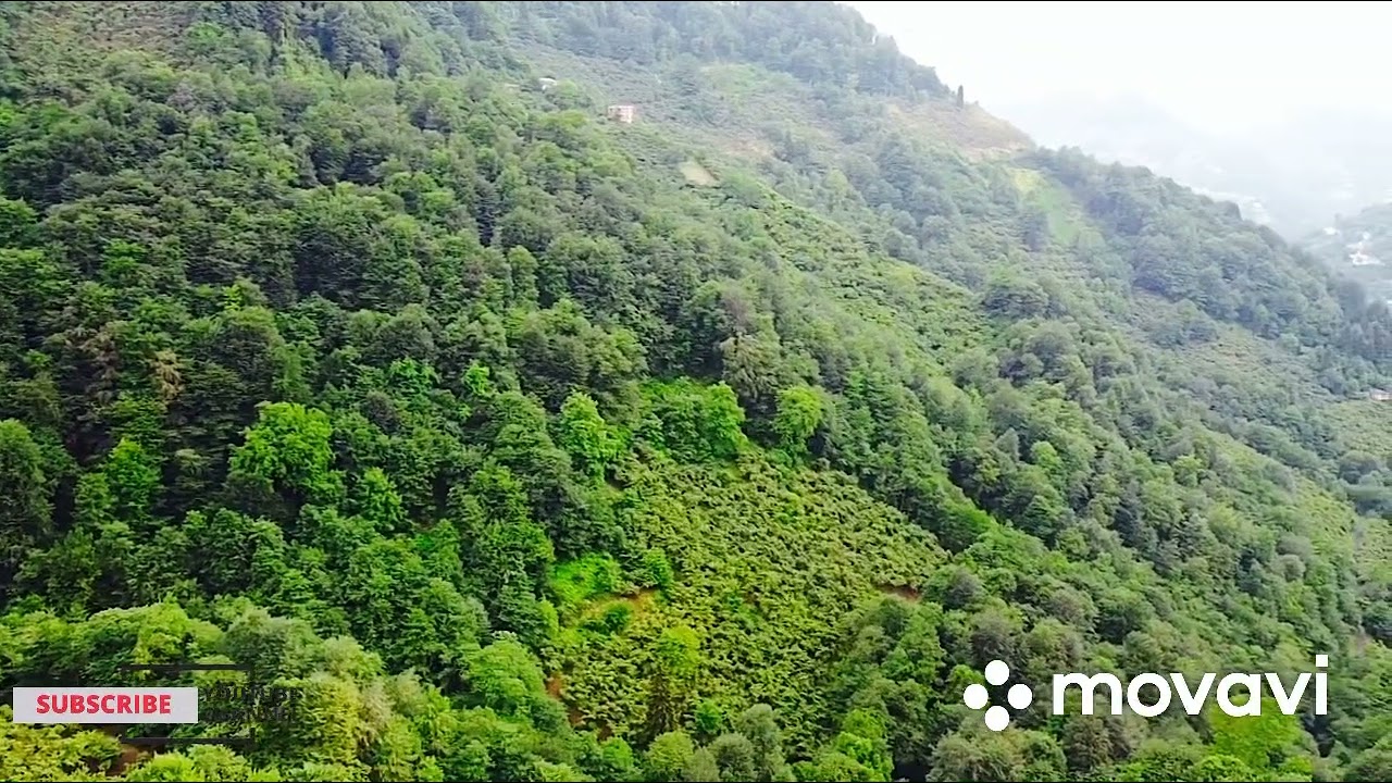 Trabzon Çarşıbaşı Samsun Köyü