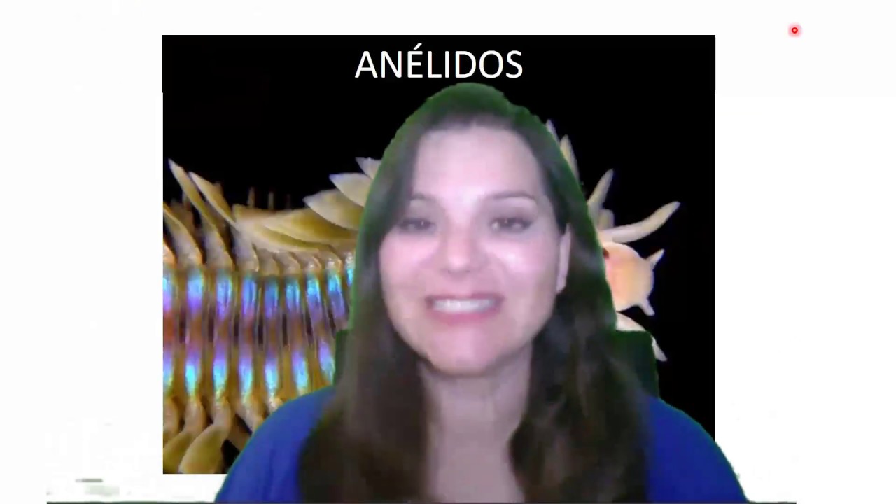 Anélidos