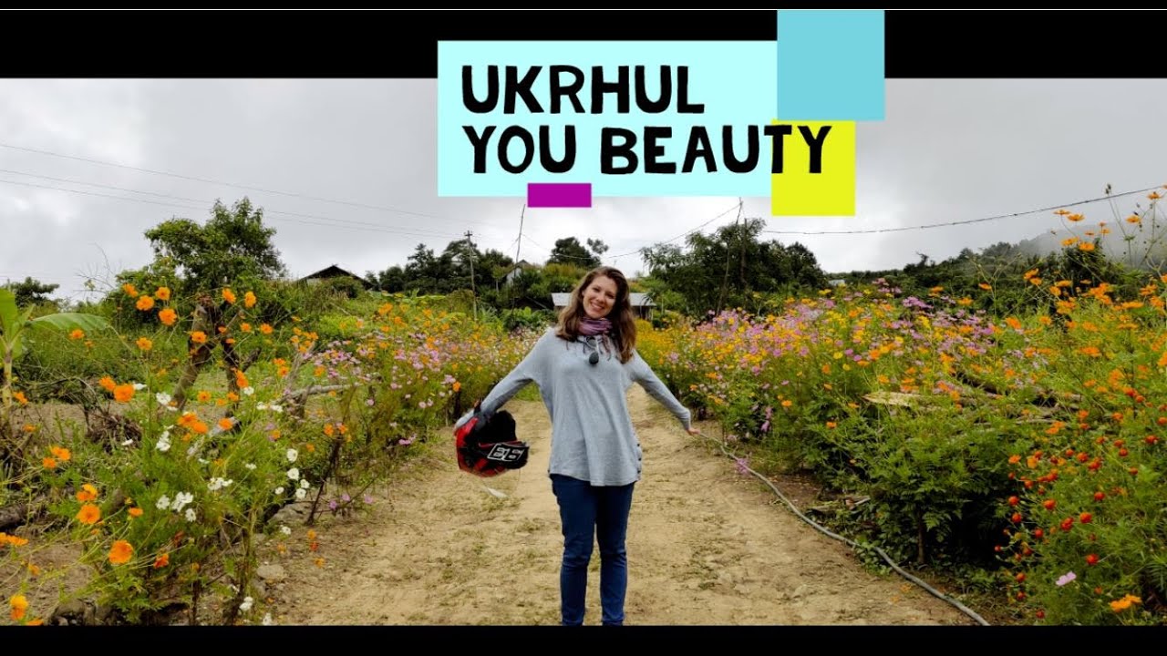 SHIRUI LILY FESTIVAL 2019UKHRUL!Such a beautiful Trip from Imphal to Ukhrul by bike!OnePlus 7T Test!
