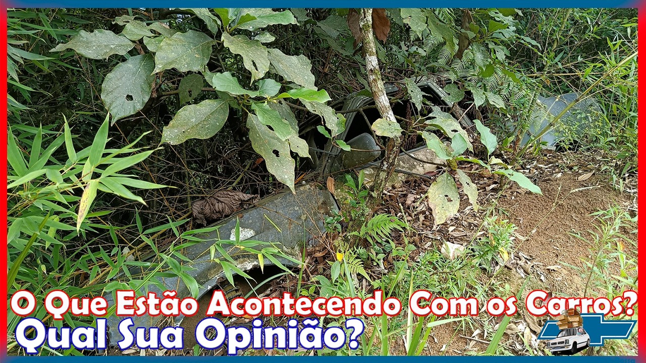 Sua percepção sobre os carros também está assim? | Deixe sua Opinião  Garagem Fonseca e Bessa