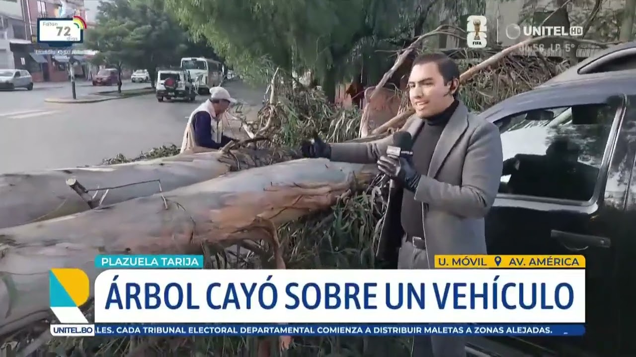 Árbol de gran tamaño cae sobre un vehículo y deja serios daños materiales