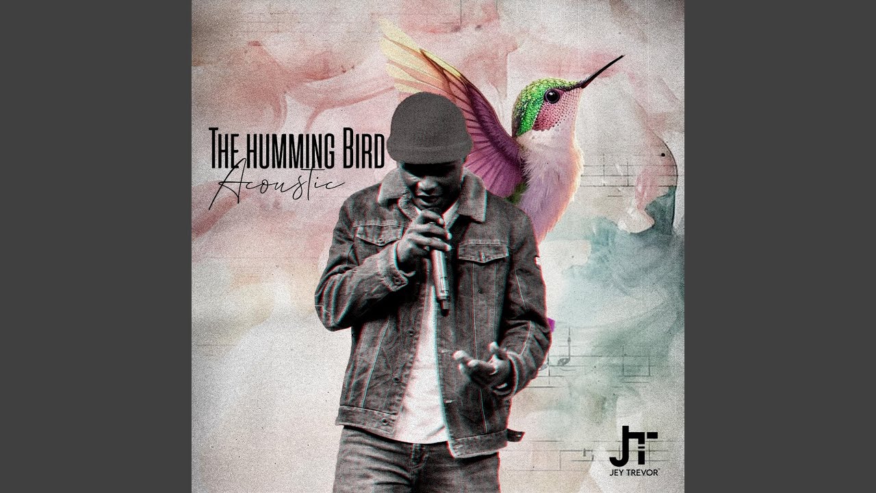 The Hummingbird Acoustic