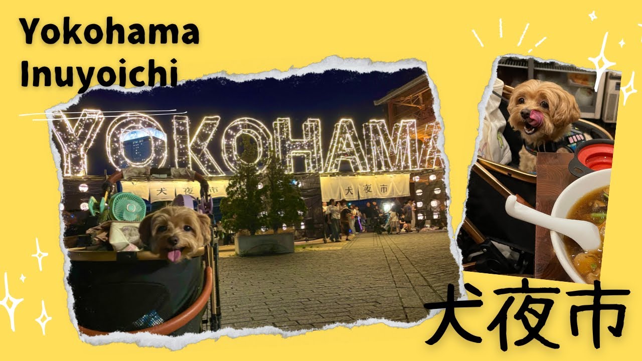 《横浜》横浜中華街おさんぽ~犬夜市2025