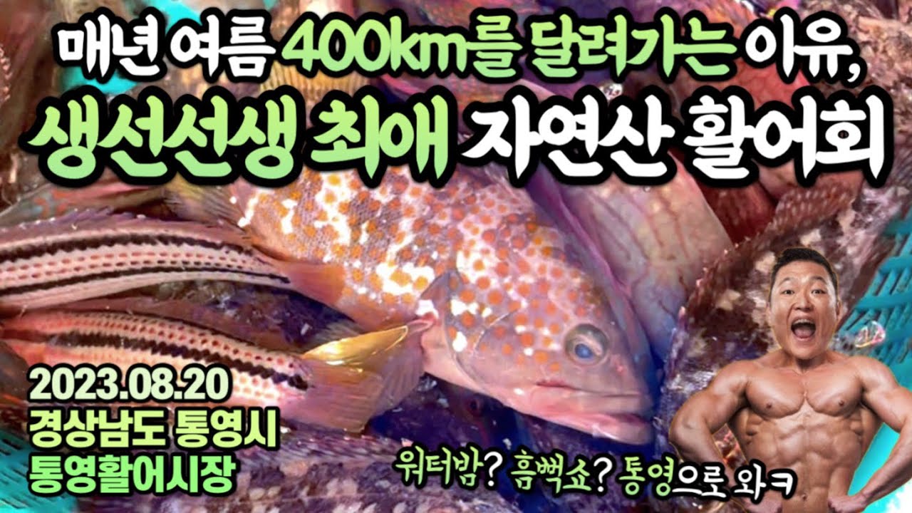 “너무 싸게 파시는거 아녜요?”상인분께 미안해지는(?!) 남해안 최고의 가성비 제철 모둠회😍