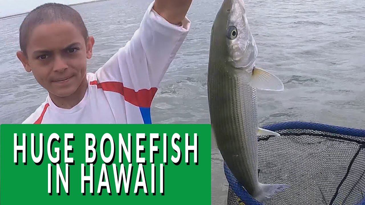 Catching HUGE Bonefish in Hawaii- How to do it the smart way!