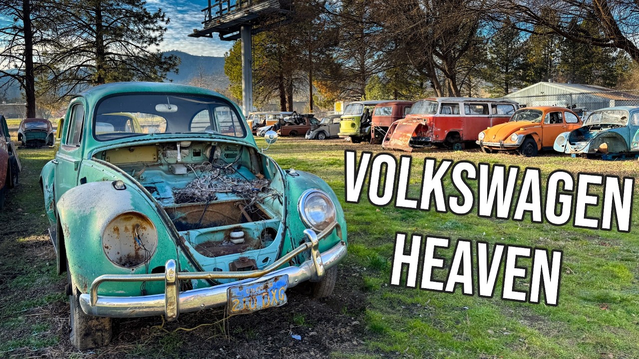 Исследование частной свалки автомобилей Volkswagen!