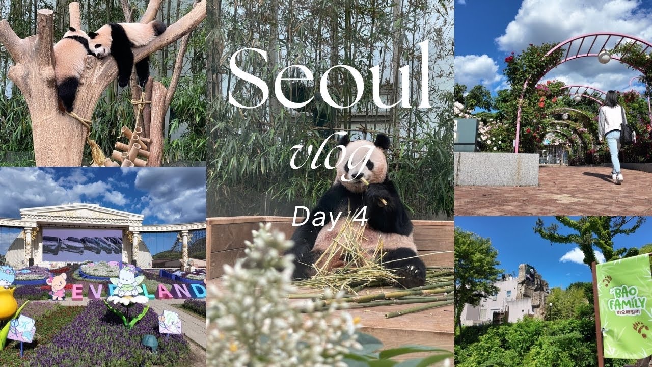 Seoul 🇰🇷 Day 4 | Everland 🎡 | Panda Bao Family 🐼 | Safari Animal 🐯 | Rose Garden 🌹 | Korean BBQ 🥩