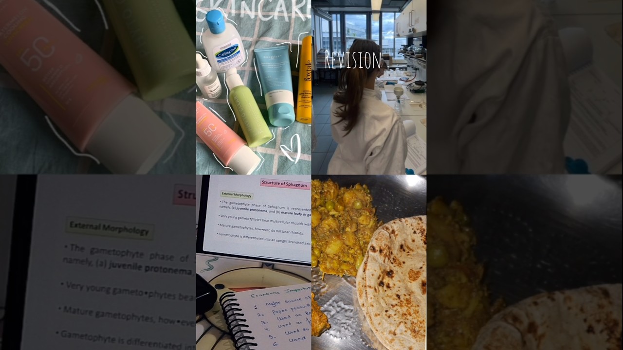 Daily routine ✨ lab assistant #labassistantlatestnews #labassistantexam #dailyroutine #study #vlog