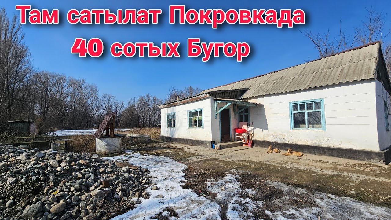 Там сатылат 40 сотых Покровкада Бугордо 2025