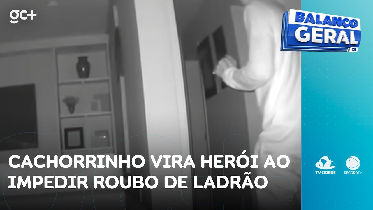 Cachorrinho vira herói ao impedir roubo de 'Homem-aranha do mal' | Balanço Geral CE