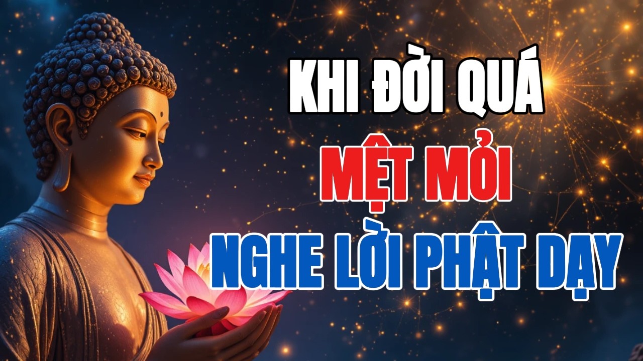 Đời Quá Mệt Vì Nghĩ Nhiều – Nghe Lời Phật Dạy Để Buông Gánh Nặng Trong Tâm