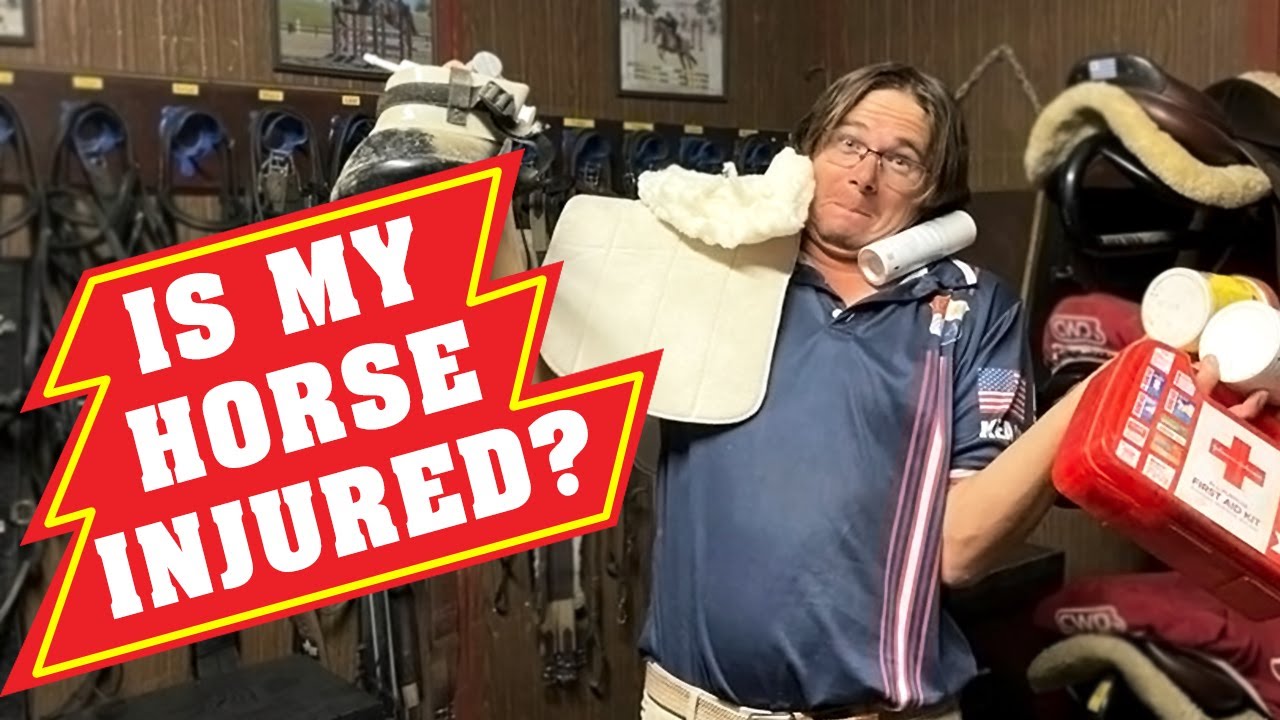 How to spot lameness on a horse