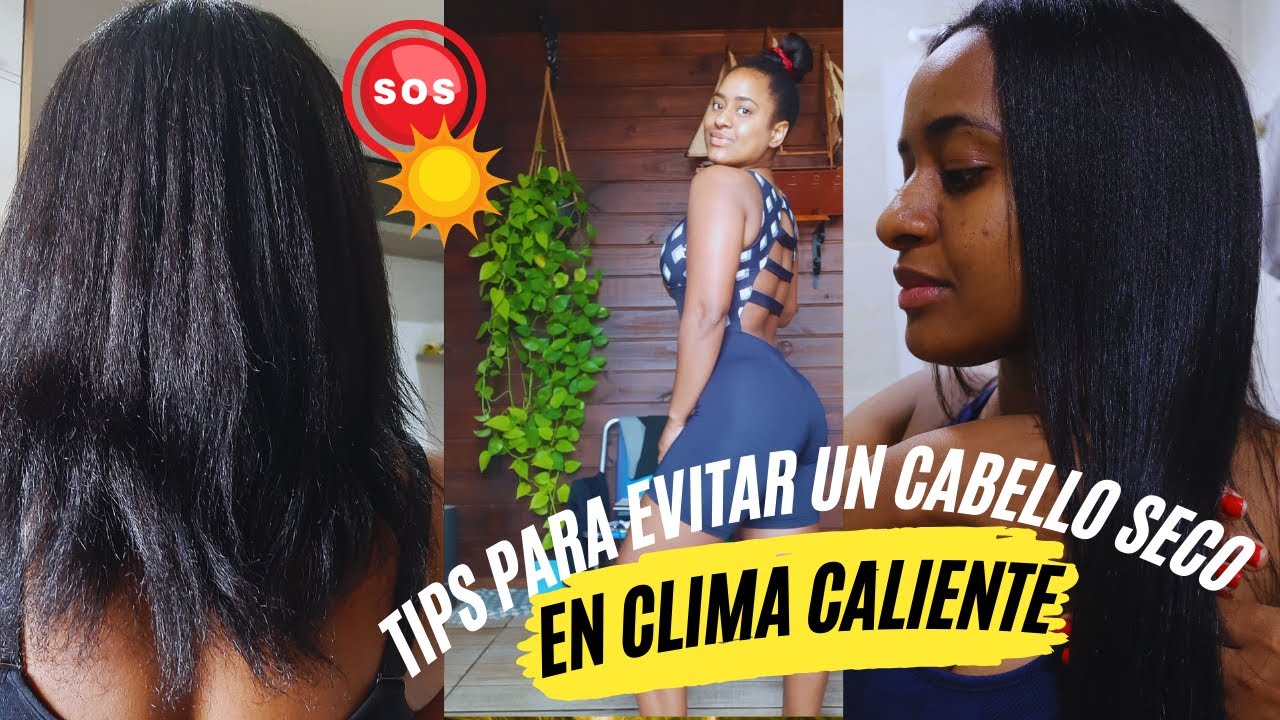 ¿COMO EVITAR TENER UN CABELLO MALTRATADO? | 8 TIPS PARA CUIDAR DE TU CABELLO EN CLIMA CALIENTE