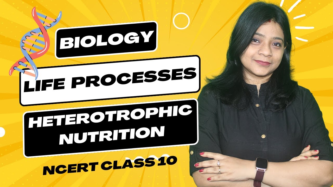 HETEROTROPHIC NUTRITION | CLASS 10 | SCIENCE | NCERT | #ncert #ncertscience #ncertboard