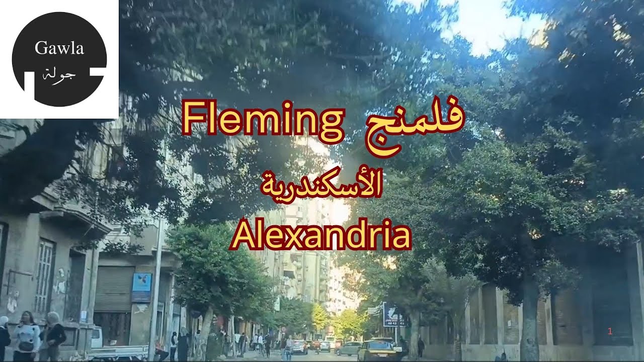 جولة فى شوارع فلمنج -  الأسكندرية