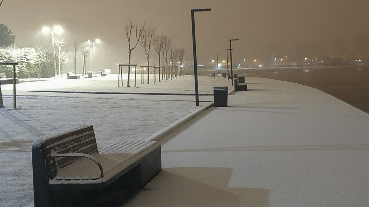 the masculine urge to slowly bleed out in the snow