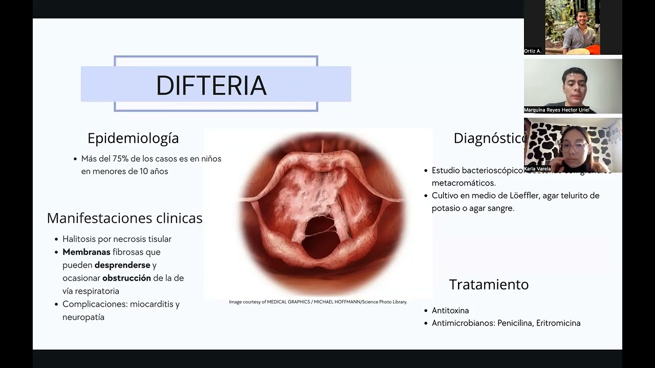 Bacterias Respiratorias: Ciclo escolar 2025-2026