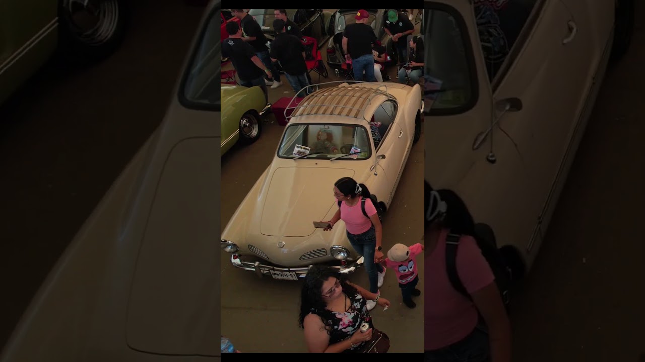 FestiBug Aguascalientes, 9 de JUNIO 2024