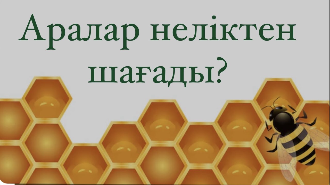 Аралар жайында  сен білмейтін ақпарат.  Араның бес көзі болатынын білдің бе?