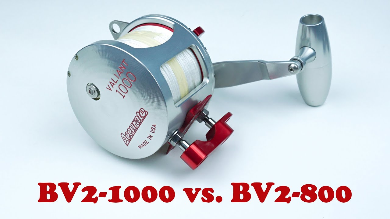 Accurate Valiant BV2-1000 vs. BV2-800 + MUST NEEDED UPGRADES