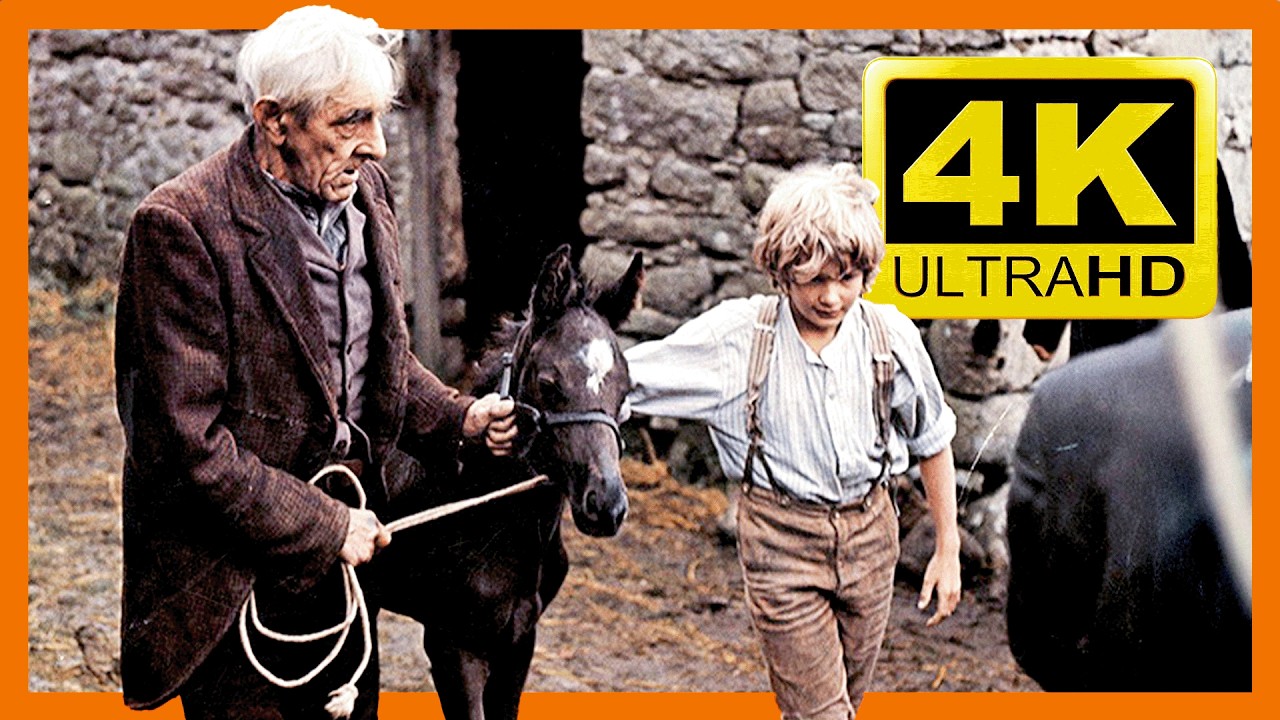 🎬 Чёрный Красавчик (1994) | Нестареющая классика, тронувшая поколения 🐴✨ | 4K-ремастеринг