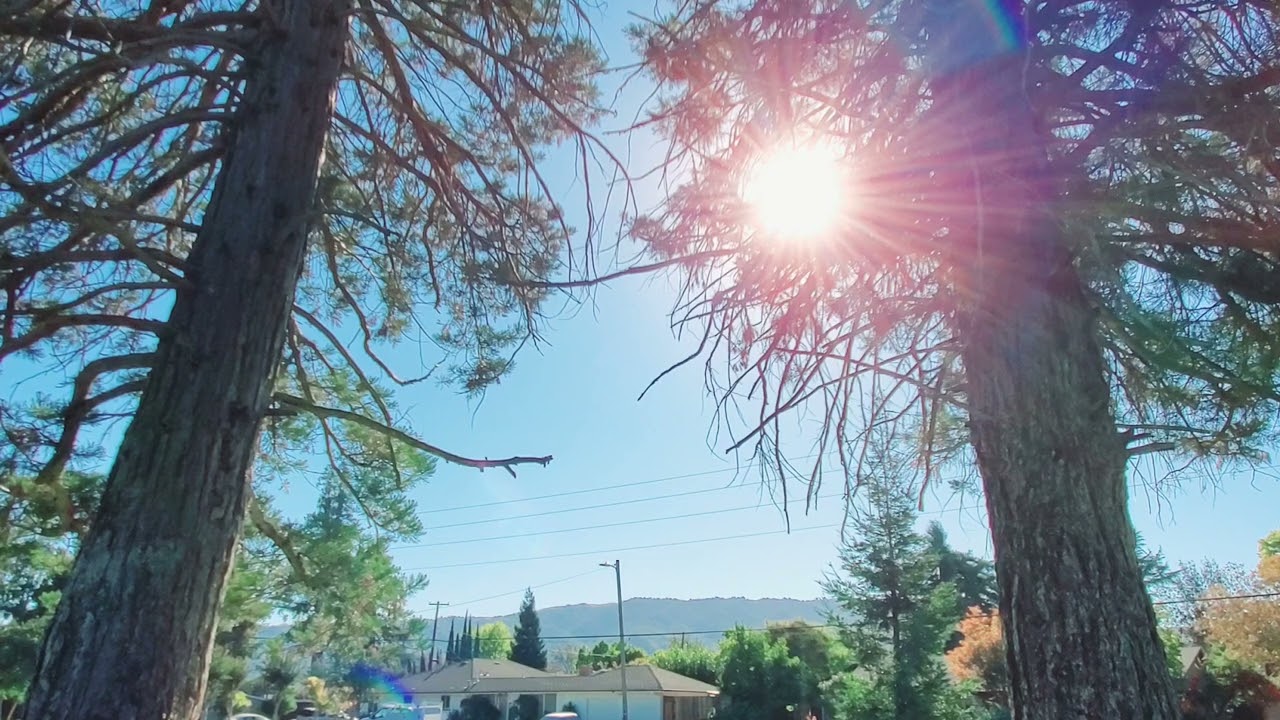 Ник Маллен Обычная работа, депрессия, Нью-Йорк Каджун, Внутри Эми Шумер, Адам Фридленд?