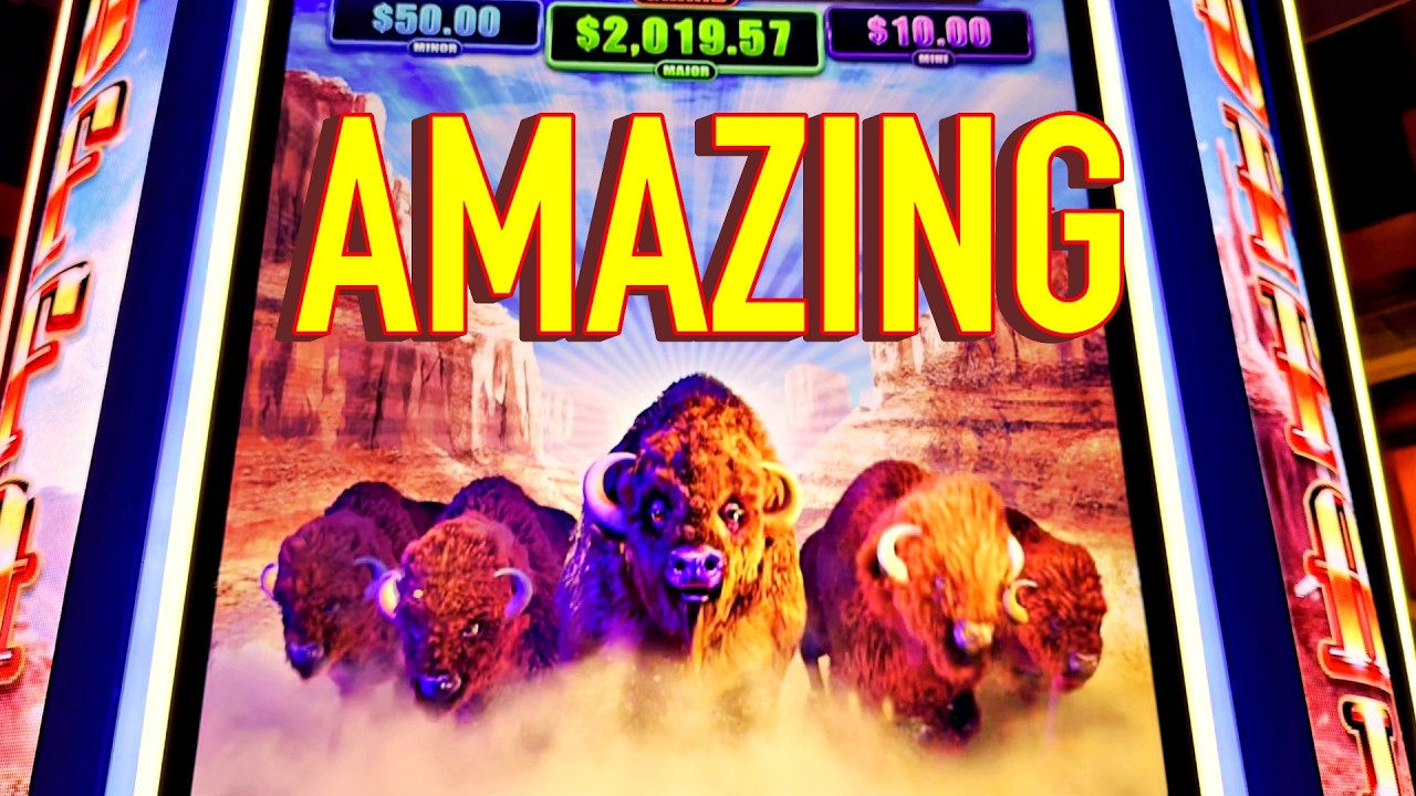 The MOST Amazing Buffalo Video Ever Seen