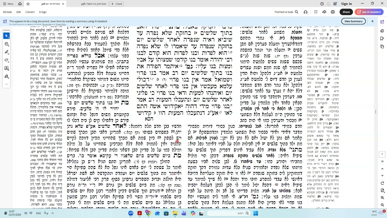 בכורות דף מט
