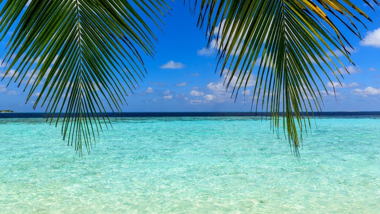 Maldives 2024