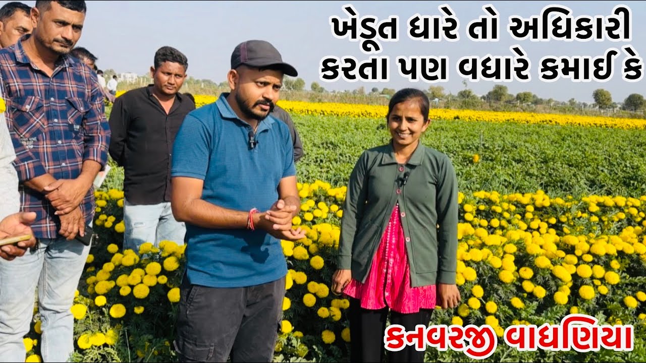 ખેડૂત ધારે તો અધિકારી કરતા પણ વધારે કમાઈ કે #vairalvideo #farming #p_k_vadhaniya 