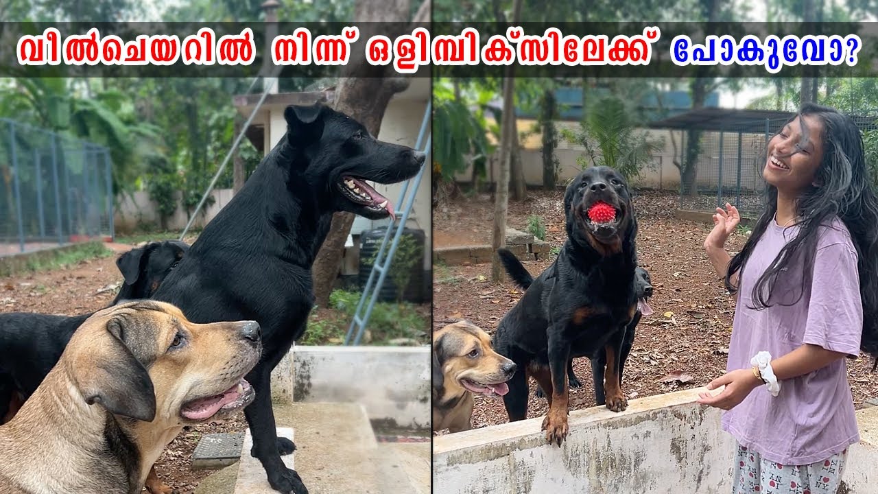 കൊച്ച് വീൽചെയറിൽ നിന്ന് ഒളിമ്പിക്സിലേക്ക് പോകുവോ?