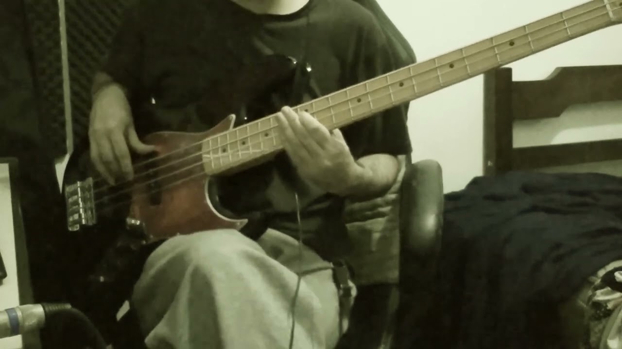 pinegrove - need 2 (BASS cover)