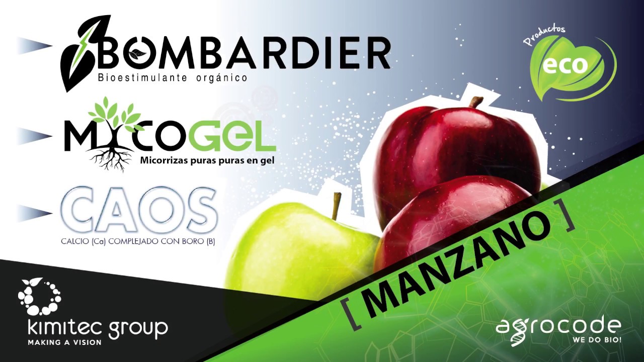 Ensayo realizado en Manzano IPSAD Polonia - Mycogel + Bombardier + Caos | Kimitec Group
