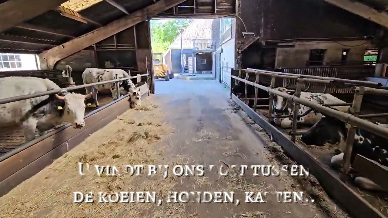 Camping & Veehouderij 't Ananas in Schagerbrug