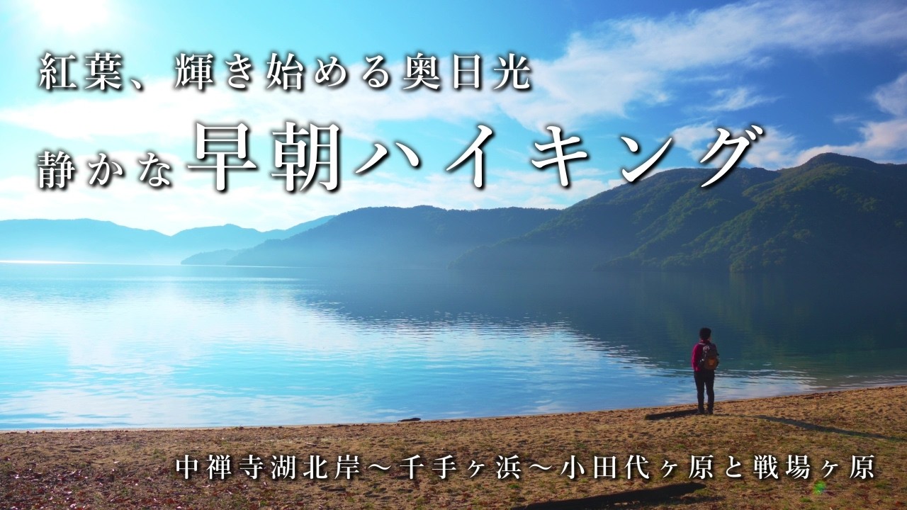 【紅葉】静かな早朝ハイキング【奥日光】中禅寺湖北岸～千手ヶ浜～小田代ヶ原と戦場ヶ原