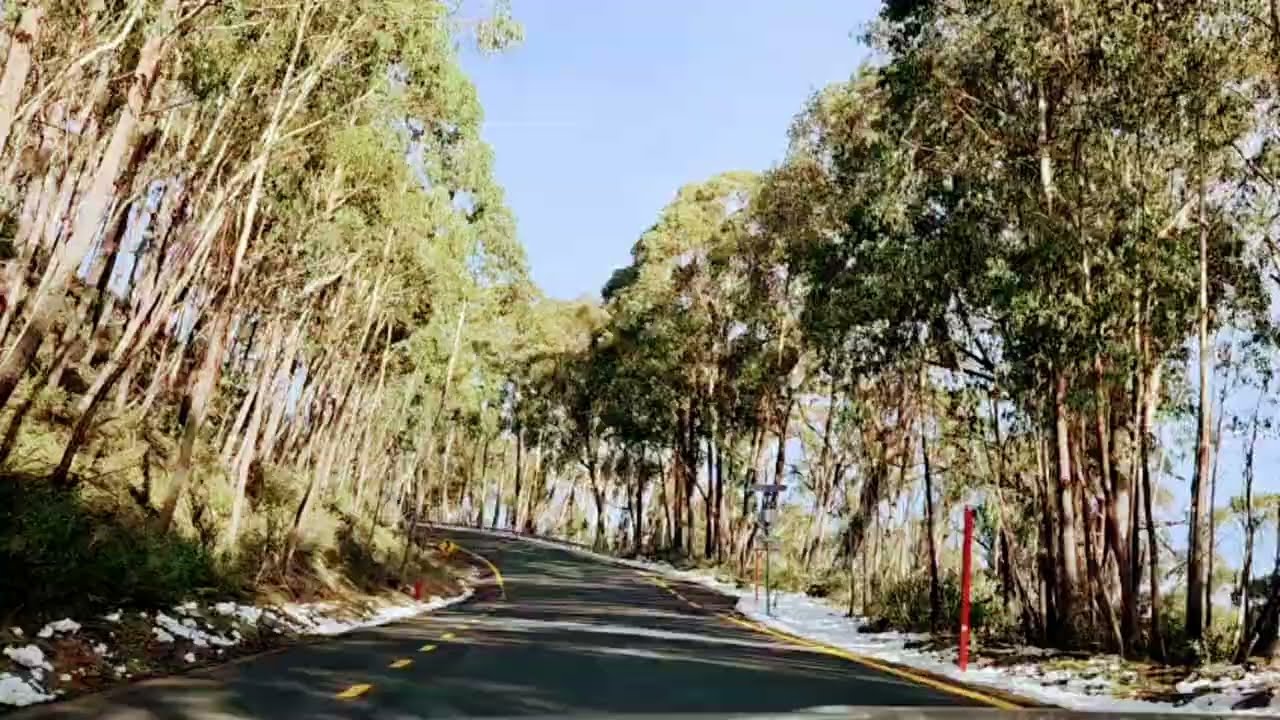 Driving in Snow Mountain NSW ￼