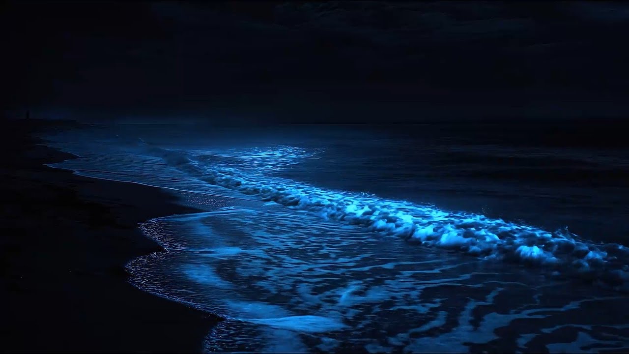 (No Ads) Ocean Waves All Night | Fall Asleep Fast & Restful Sleep