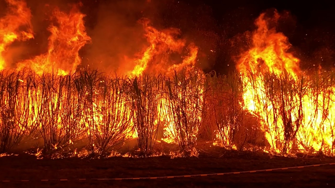 Sugar Cane Fire 2018 Childers Festival