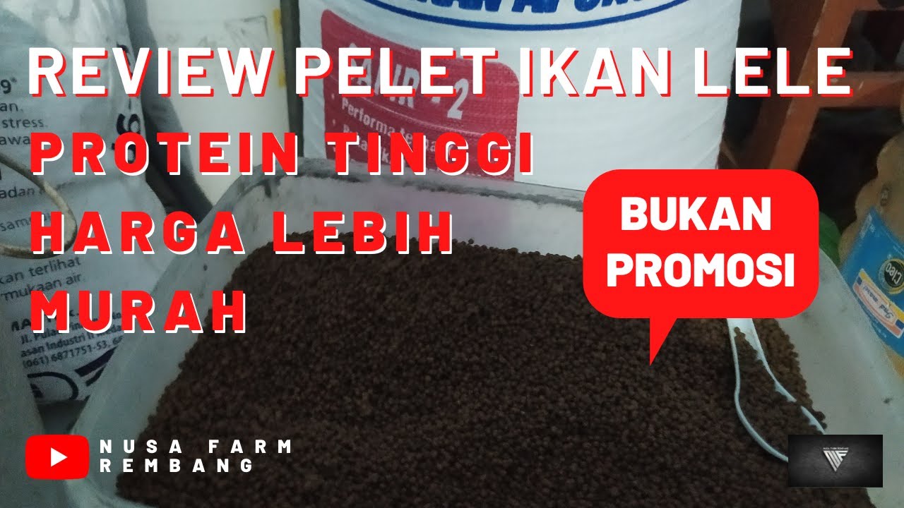 REVIEW PELET SAFIR - 2 II PROTEIN TINGGI HARGA LEBIH MURAH II BUUKAAANNN PROMISIIIIIIII !!!!