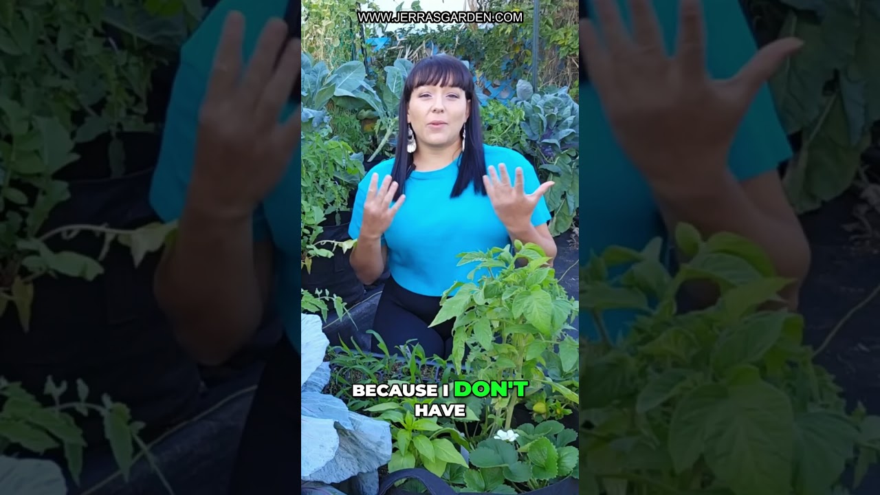Mastering Bean Varieties: Bush vs. Pole