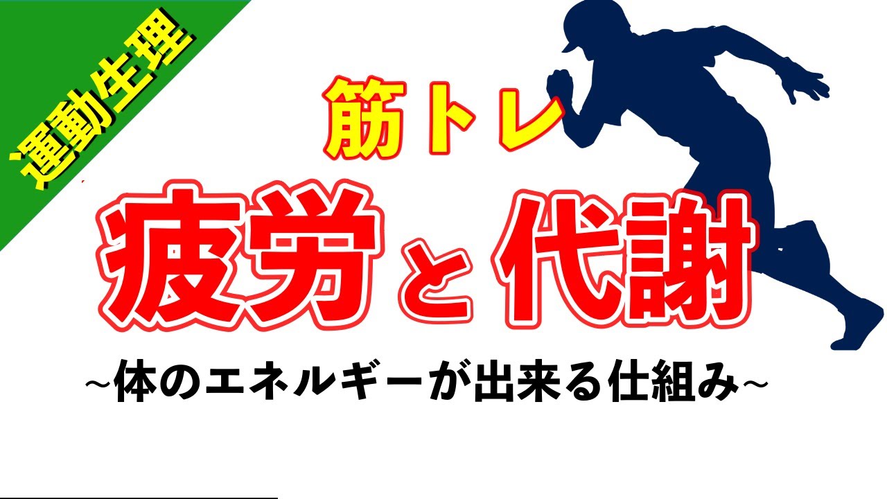 【柔道整復師が教える運動生理学】体のエネルギー代謝と筋トレの疲労回復【#61】