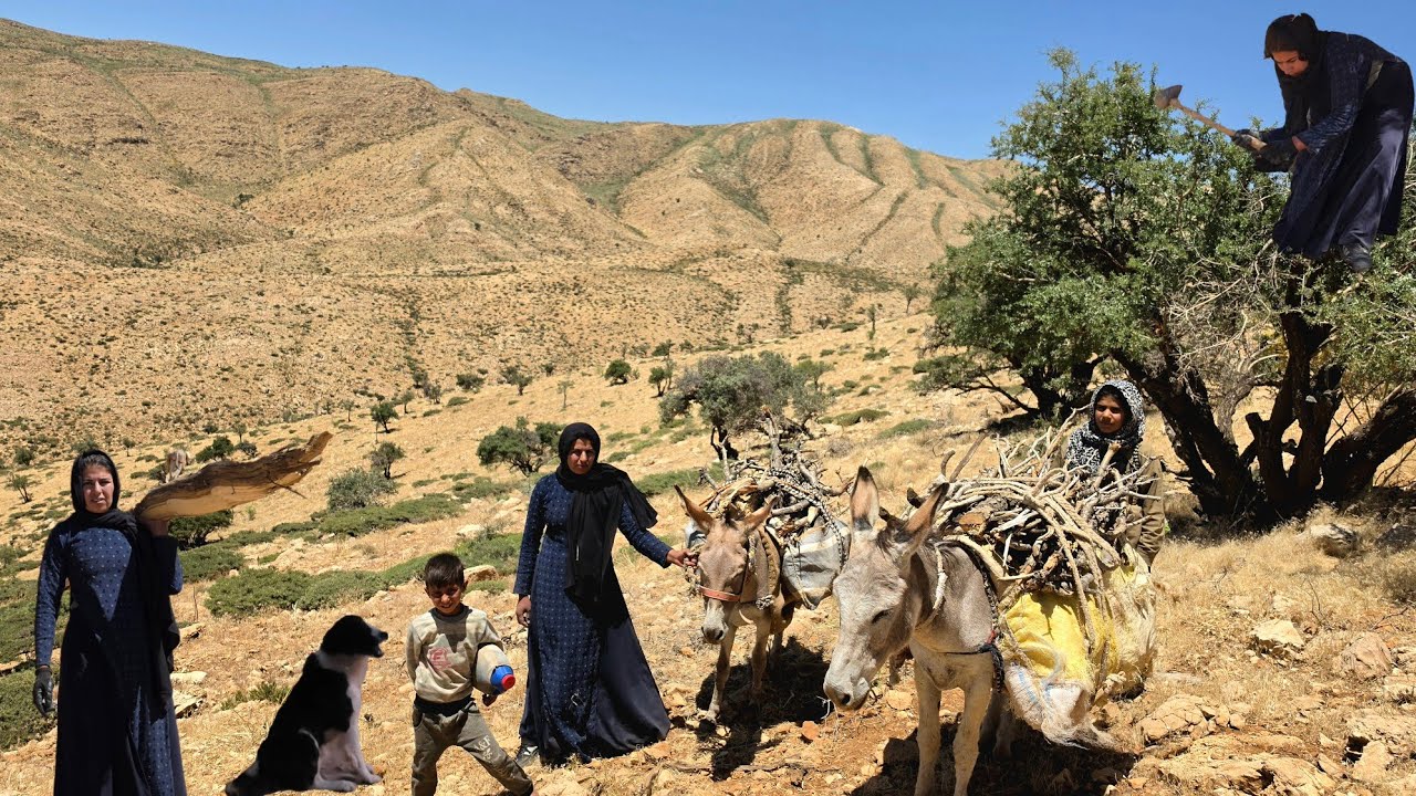 🏔️The Hard Life of an Iranian Nomadic Family|🐴🔥 Surviving in the Mountains and Gathering Firewood