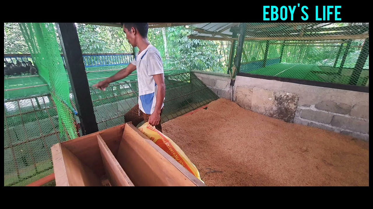 MGA IBA IBANG KLASING DESIGN NG DUCK HOUSING NA PWEDING GAYAHIN.