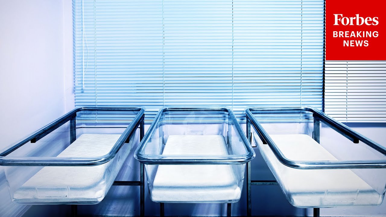 The Real Fertility Crisis: What's Behind Plunging Birthrates?