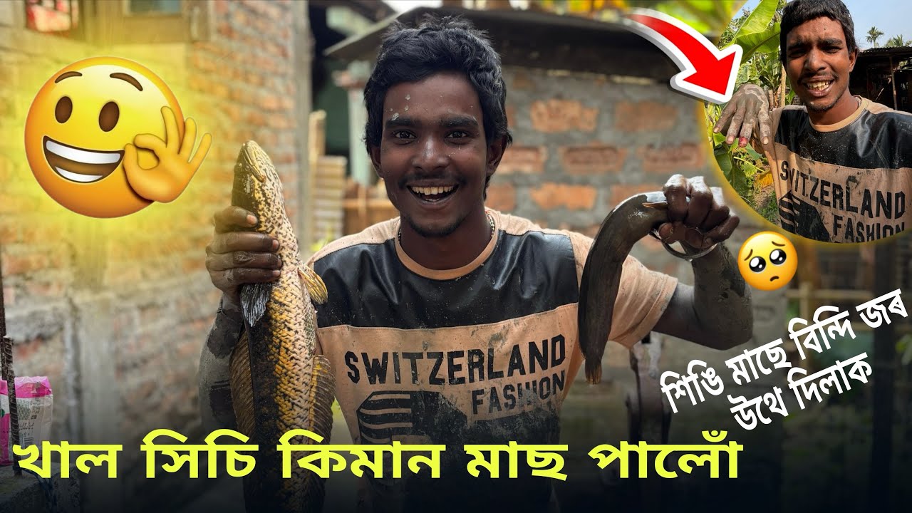 শিঙি মাছে বিন্দি জৰ উথে দিলাক🥺 #justiceforzubeengarg #pankajbhai 